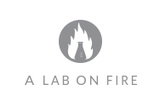a-lab-on-fire-2