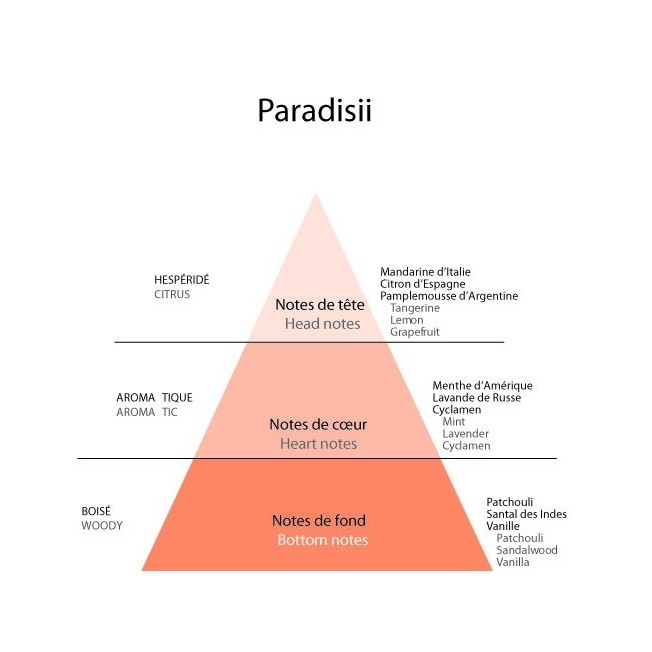 Detaille 1905, Paradisii, Eau de Cologne 100ml - Image 4